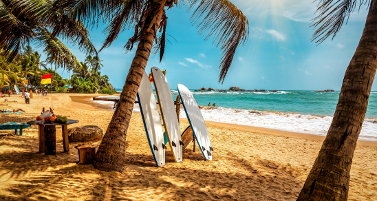 Откройте для себя Шри-Ланку